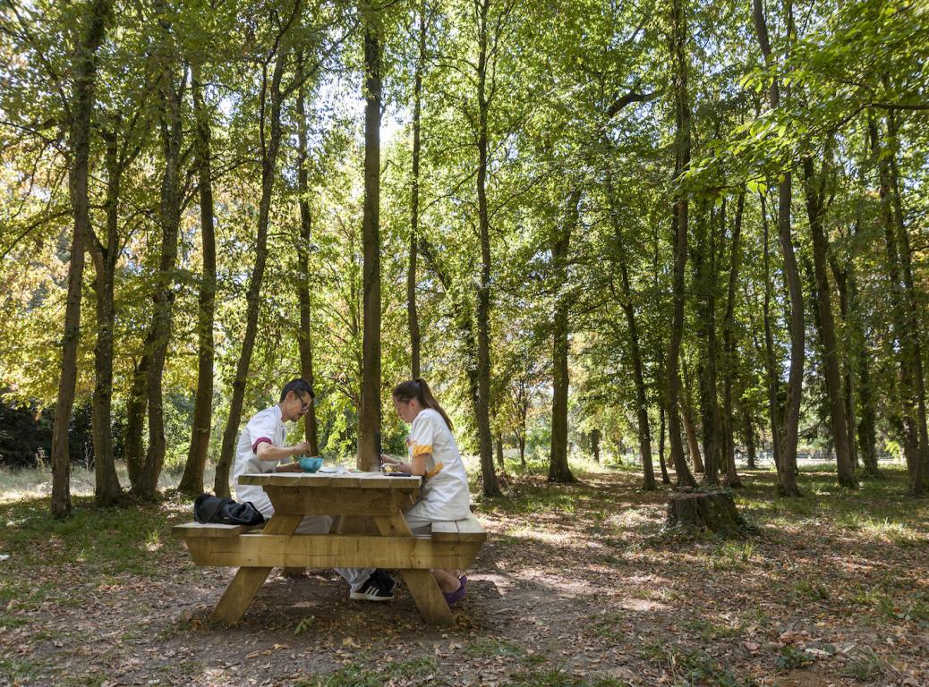 Soignants déjeunant au coeur du parc de l'hôpital Forcilles